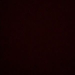 Meet your Posher, Braulio